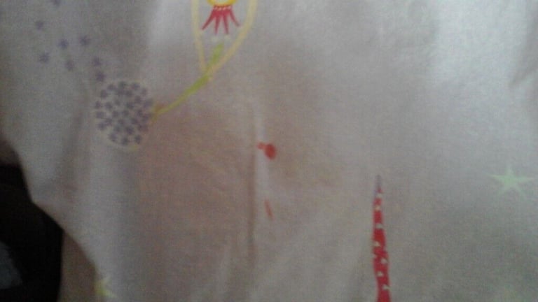 Next fairy duvet cover pillow case and curtains