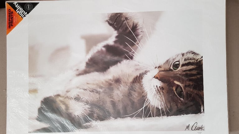 Wall Art of Cute Tabby Kitten