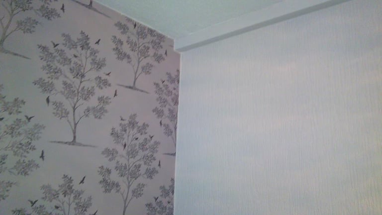 Speedline Decorators: The Birmingham  Local painters and Decorators.