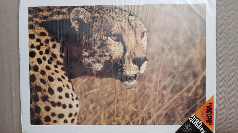 image for Wall Art of Cheetah