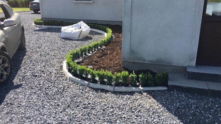Box Hedging