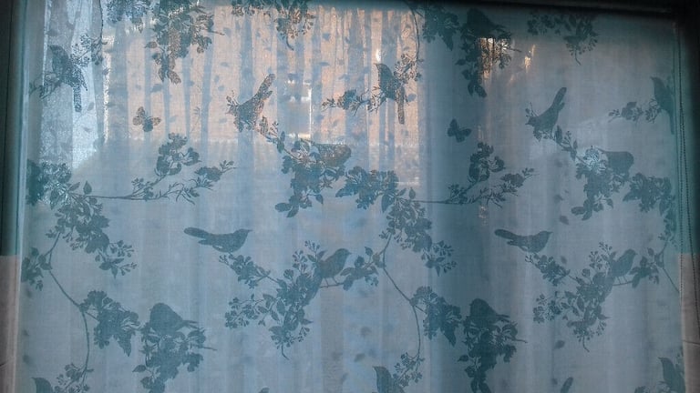 image for duck egg blue birds sheer roller blind