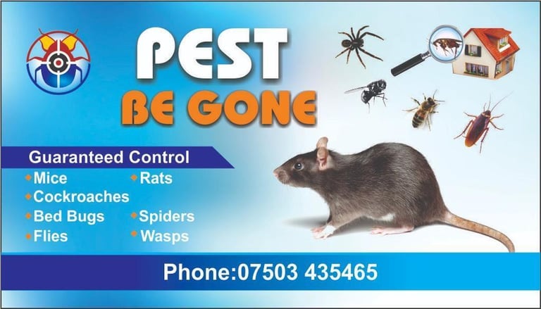 Pest control rat mice bedbugs cockroaches flees flies  control 