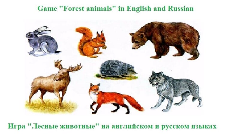 Learn foreign languages playing board games. 