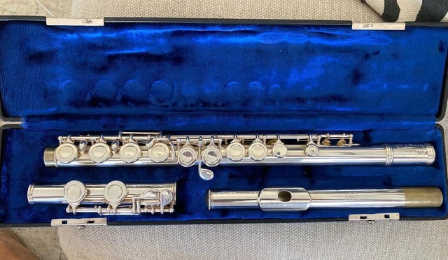 Flute gumtree new arrivals