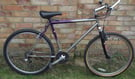 Retro Steel Carerra MTB bike 21 speed STIs Alloy wheels Shimano groupset