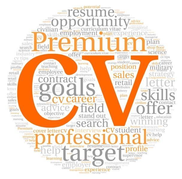 CV Writing Service - from £20; Professional CV Writing - 800+ Great Reviews - LinkedIn - Help