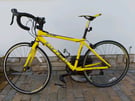 Carrera bicycle: 40cm frame