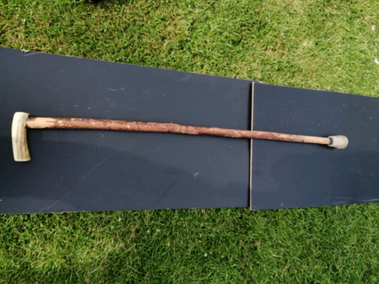 Walking stick