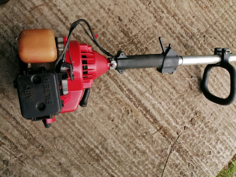 Homelite Strimmer