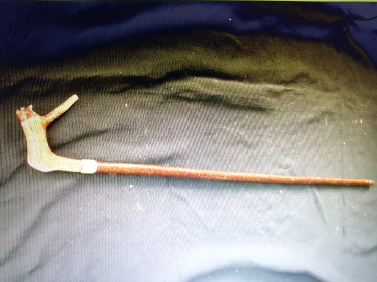 Carved fox walking stick 