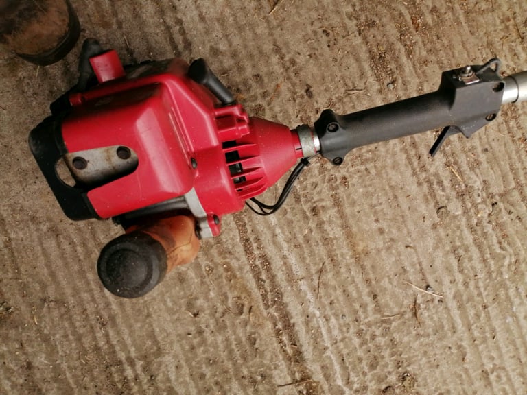 Homelite Strimmer