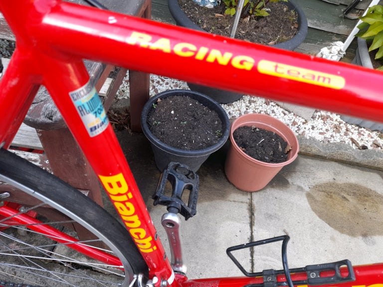 Bianchi Racing team bike 