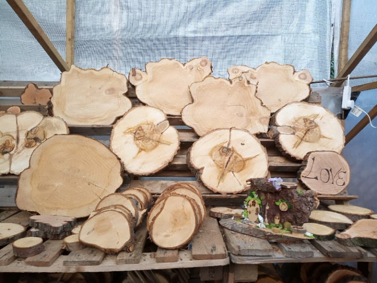 Log slices for arts and crafts DIY projects 