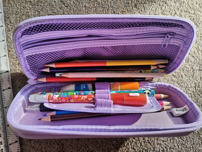 Disney frozen Elsa Anna pencil case