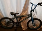 FREE delivery within 10 miles Bmx bike 