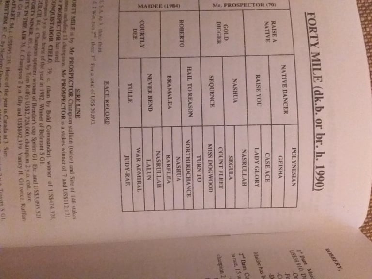 Barbados Garrison Savannah  vintage race card and programme 