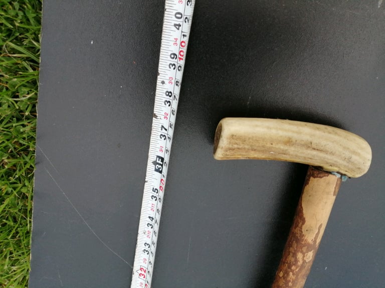 Walking stick