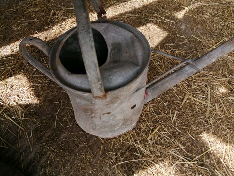 VINTAGE ZINC WATERING CAN * GARDEN PLANTER * 