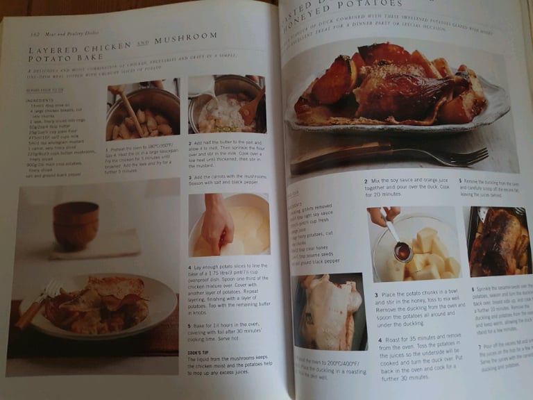Cook Book: 150 recipes with Potato