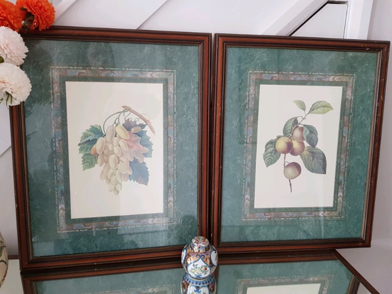 Large pair of framed antique prints of fruit
