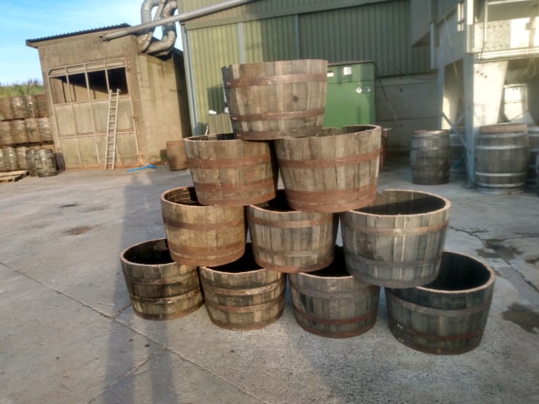 Barrel planters
