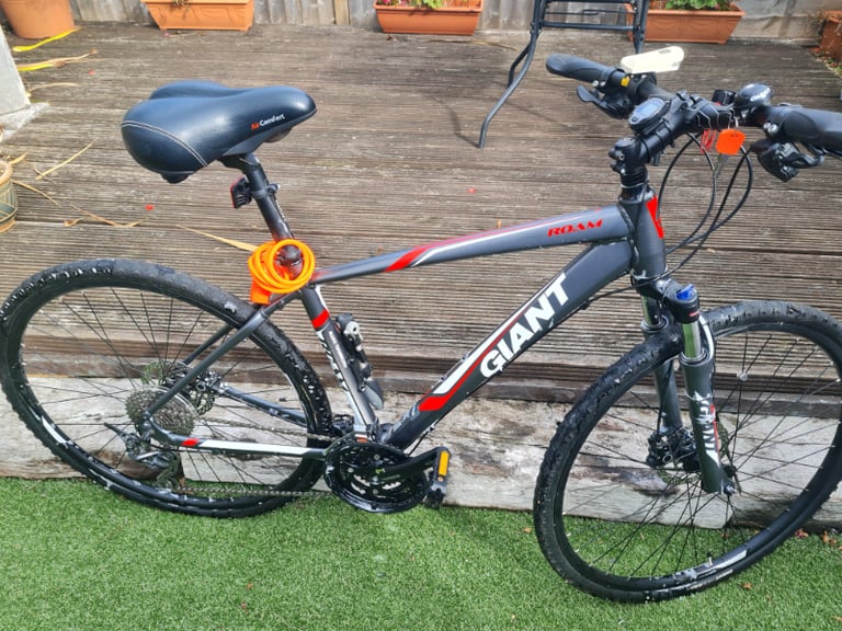 Push bikes Bikes Bicycles Cycles for Sale Gumtree