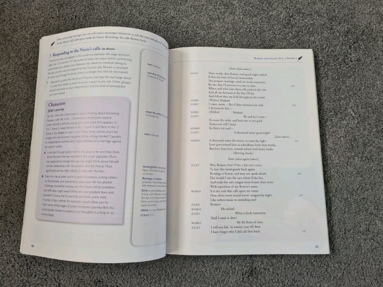 Romeo and juliet novel and guide for GCSEs 