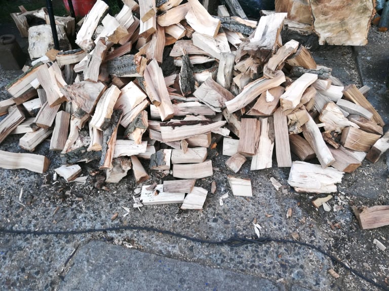 image for Logs logs logs 