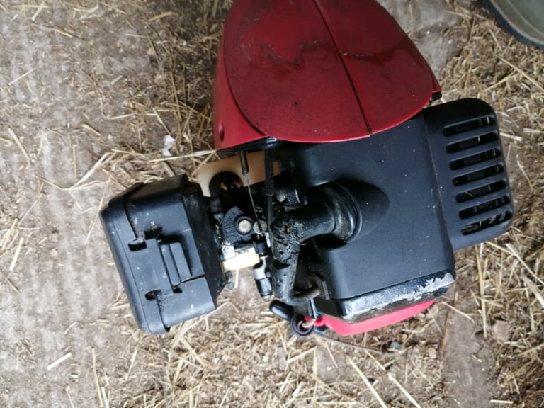 Champion strimmer