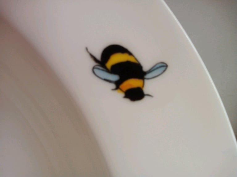 Sophie Allport BEE pasta dish - worth £22