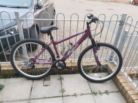 REDUCED TO £80 - New Womens Apollo Jewel bike - NEED GONE ASAP