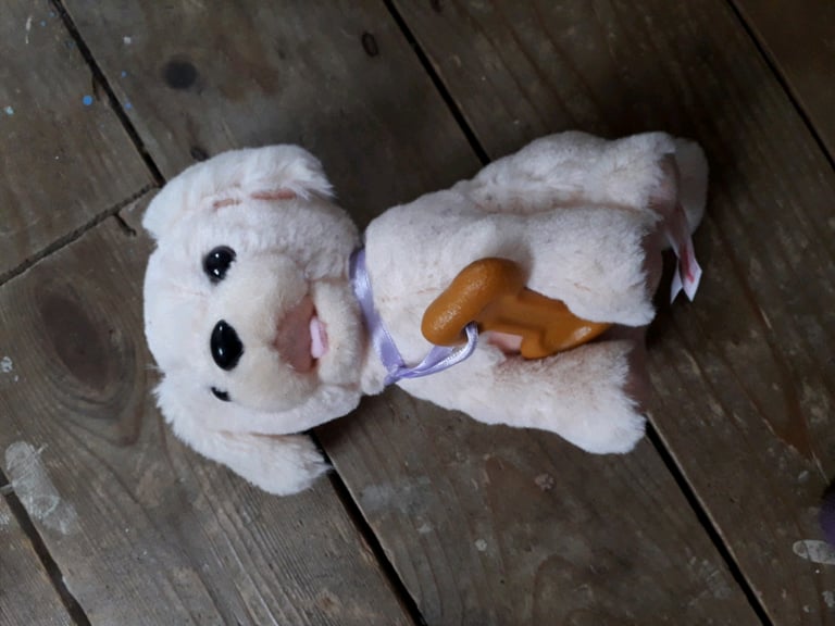 Talking dog toy