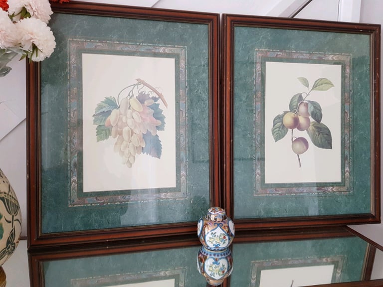 Large pair of framed antique prints of fruit