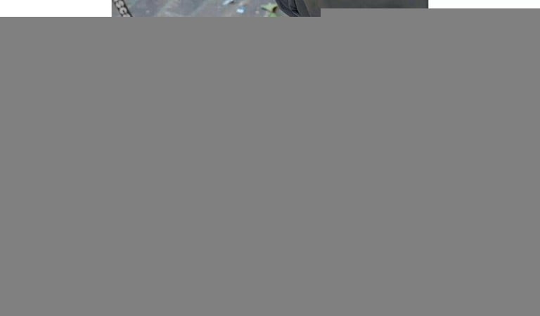 Lascal Buggy Board mini Black for parts missing parts please ask for latest picture 