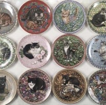 image for Lesley Anne Ivory by Aynsley Cat Plates Meet my Kittens SET OF 12 JAN - DEC