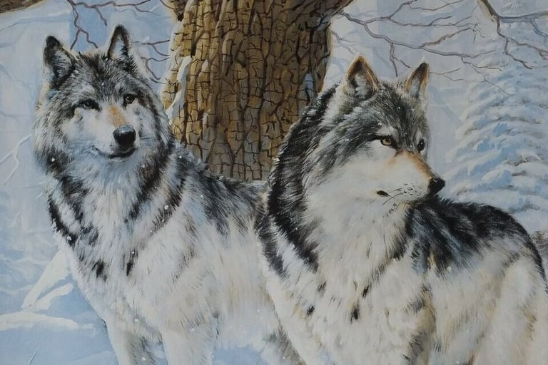 Wolves in the snow framed picture