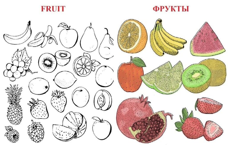 image for Board game “Fruit” in English and Russian