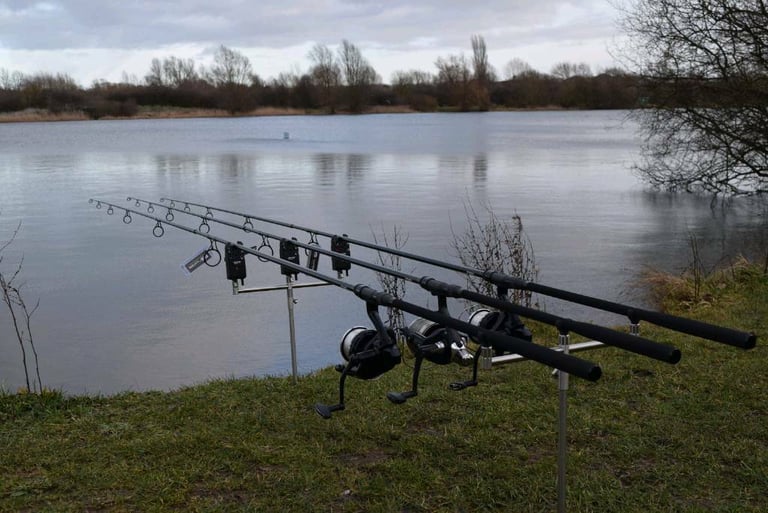 image for Custom Carp rods (New) £50 per rod 