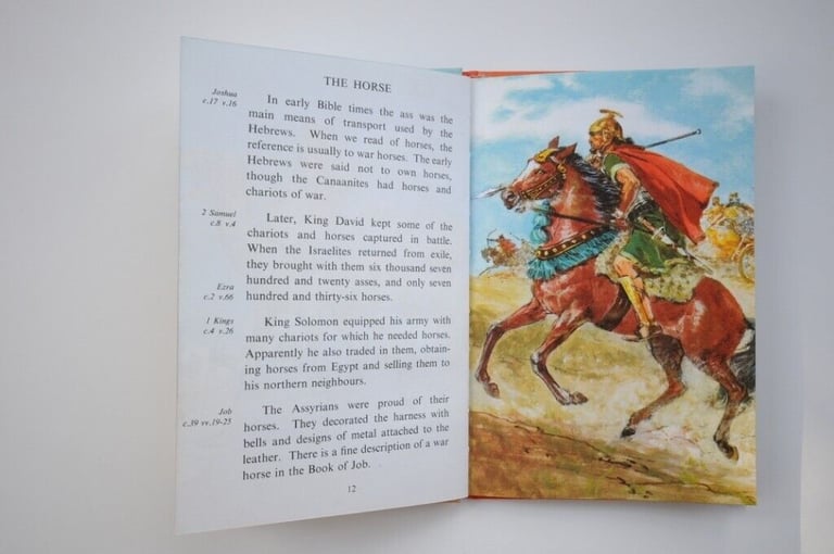 Two Original Vintage First Edition 1960’s Hardback Ladybird Illustrated Children's Books. VGUC