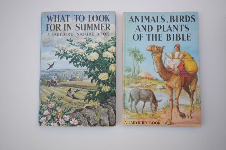 Two Original Vintage First Edition 1960’s Hardback Ladybird Illustrated Children's Books. VGUC