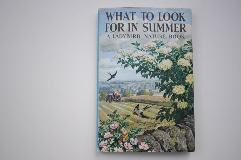 Two Original Vintage First Edition 1960’s Hardback Ladybird Illustrated Children's Books. VGUC