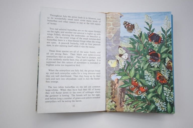 Two Original Vintage First Edition 1960’s Hardback Ladybird Illustrated Children's Books. VGUC