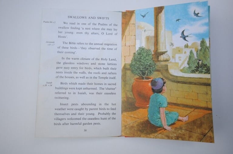 Two Original Vintage First Edition 1960’s Hardback Ladybird Illustrated Children's Books. VGUC