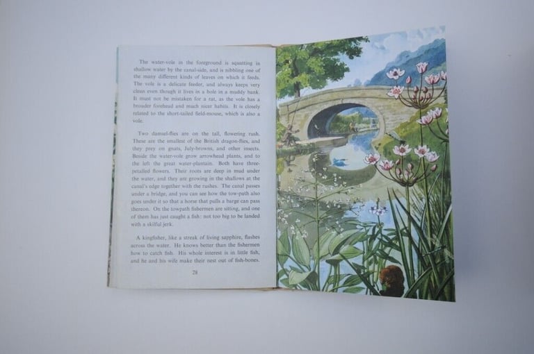 Two Original Vintage First Edition 1960’s Hardback Ladybird Illustrated Children's Books. VGUC