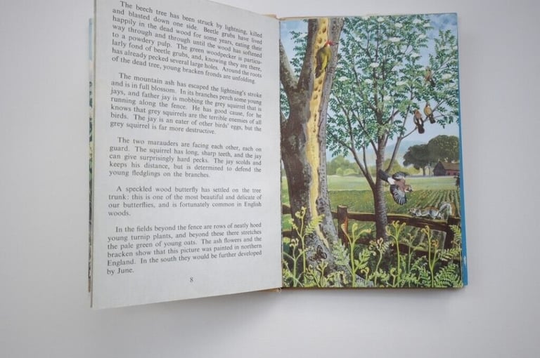 Two Original Vintage First Edition 1960’s Hardback Ladybird Illustrated Children's Books. VGUC