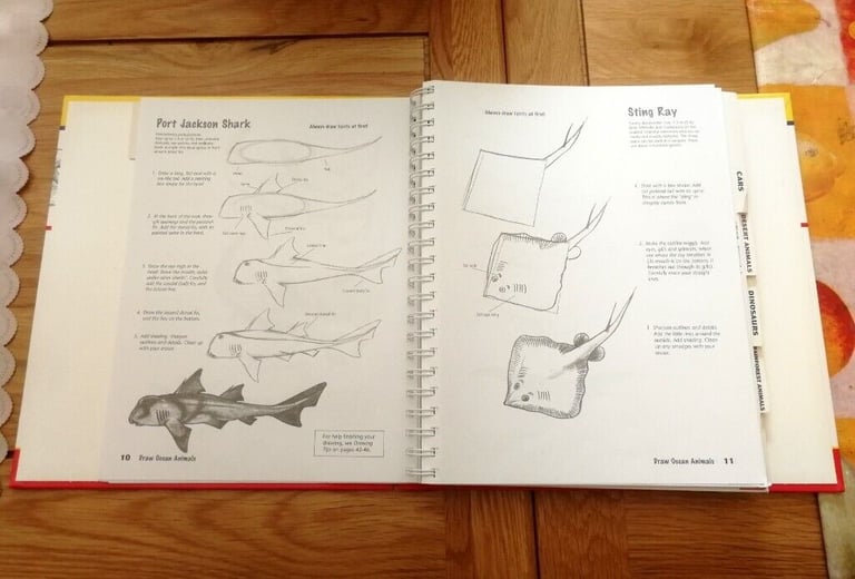 Draw Really Cool Stuff Hardback Book - Dinosaurs Animals Insects Cars