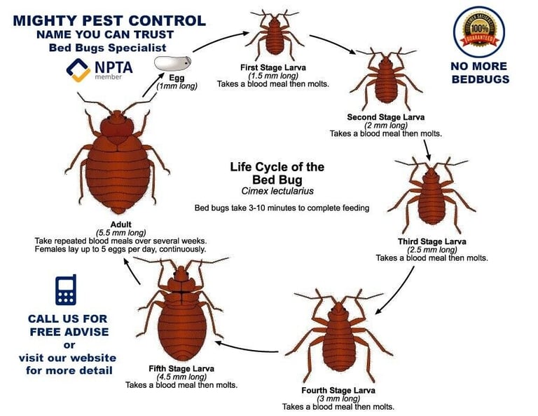 Pest Control Team avatar