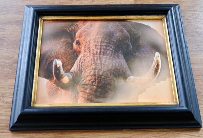 image for Elephant Print/ picture 19cm x 24cm