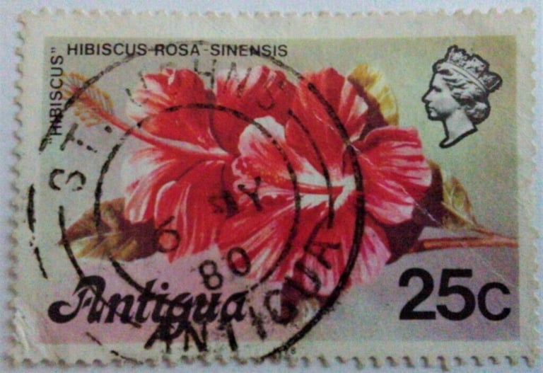 image for ANTIGUA 1976 QEII 'HIBISCUS' 25c POSTAGE STAMP